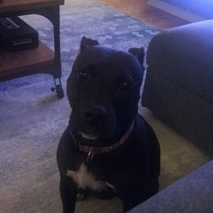 Meet your Posher, Keith